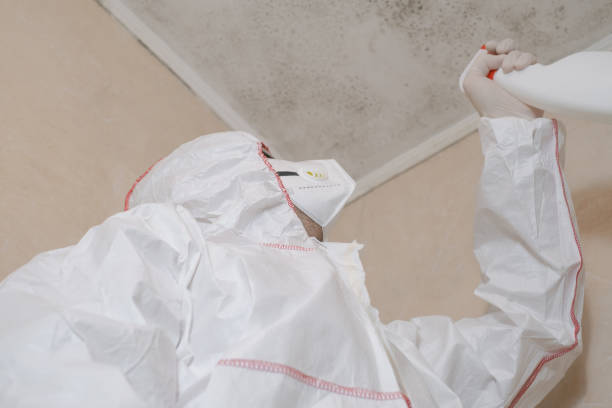 Bunnell, FL Mold Removal Company