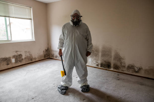 Best Commercial Mold Removal  in Bunnell, FL